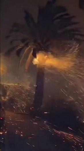 Malibu Fires: Palm trees on fire at Pepperdine University campus in Malibu, California
