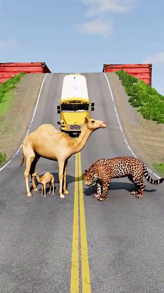Bus vs Dromedary Camel & Tiger-BeamNG-Drive #beamngshorts
