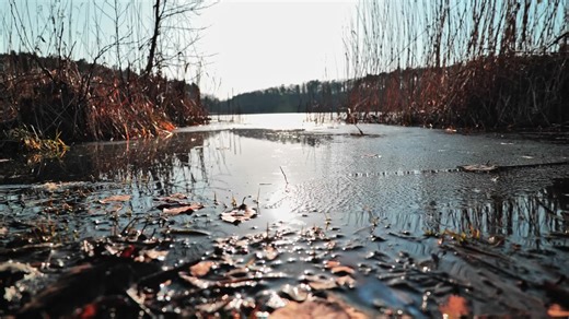 Frozen Lake in Winter Quiet Nature Silence Soundscape