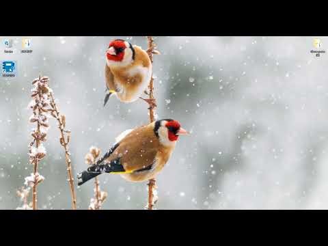 PROCEDIMENTO DE INSTALAÇÃO DO SISTEMA DE AGENDAMENTO E LANCHONETE - INERDIOI