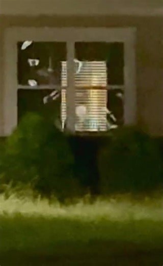 #alien or #ghost in the window?