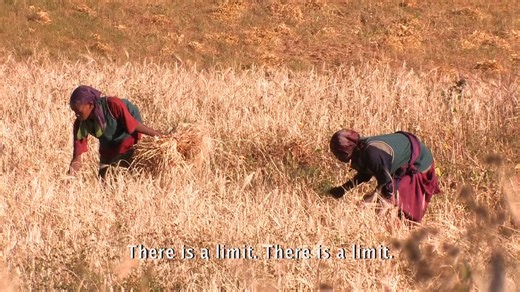 A Thousand Suns tells the story of the Gamo Highlands of the African Rift Valley and the unique worldview held by the people of the region. This isolated area has remained remarkably intact both biologically and culturally. It is one of the most densely populated rural regions of Africa yet its people have been farming sustainably for 10,000 years. Shot in Ethiopia, New York, and Kenya, the film explores the modern world's untenable sense of separation from and superiority over nature and how th