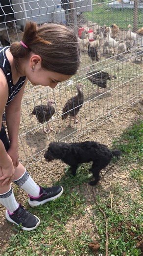 Iana in the countryside #4 - another puppy has appeared 🐶 🐕 🦴 #ianaandherfamily
