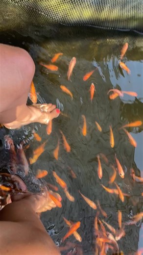 1.6K views | Maxine Jones on Reels | Facebook