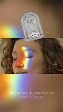 Mysteries of the Human Brain Uncovered