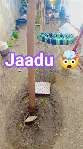 Jaadu ki drawings#shorts #shortsfeed #cute