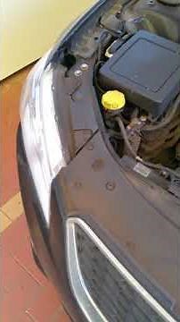 Vf commodore park light bulb replacement