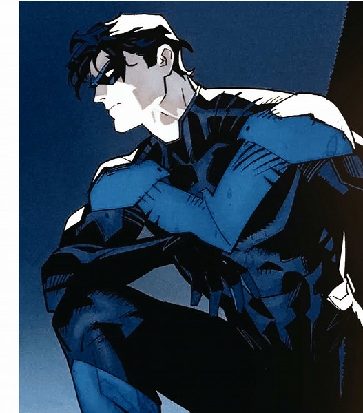 Nightwing: Preparing for University