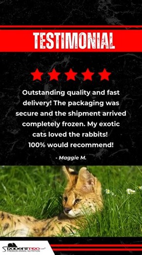 Our customers say it best! From secure packaging to delicious, high-quality frozen whole prey for your pets, we deliver every time! Shop now: https://bit.ly/43wAiKh