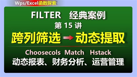 【FILTER经典案例】第⓯讲→跨列筛选→动态提取！一个公式搞定，财务运营、数据分析，职场必备！效率翻倍！WPS/EXCEL函数choosecols技巧教程if