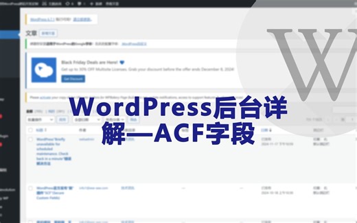WordPress后台讲解-ACF字段