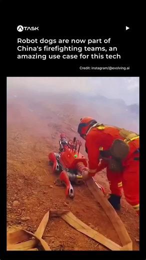 Robot dogs are officially joining firefighting teams! 🧯🔥 These four-legged machines are now being deployed on the front lines, scouting dangerous areas, carrying hoses, and working in zones too risky for humans. The mission is clear: let robots handle the danger so firefighters can stay safe. It’s one of the most practical and life-saving real-world uses of robotics we’ve seen yet, and it’s only getting more scalable from here. What do you think, smart move or too futuristic? 🤔💬 #ai #robotic