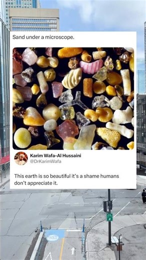 Sand Under a Microscope Looks Nothing Like What You Think #Science