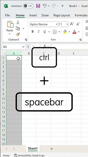 Excel Shortcut: Select a Column Instantly (Ctrl + Space) #excel #exceltips #productivity #shortcuts