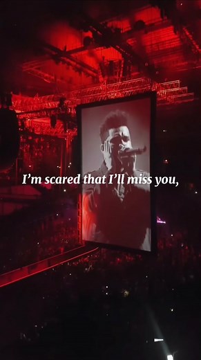 Die For You - The Weeknd Lyrics and Music Video