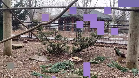 19K views · 352 reactions | It’s that time of year again when our two...