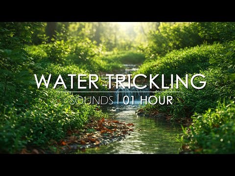 8 Hours of Trickling Water Sounds with NO MUSIC 😴 Guaranteed to Help You Sleep, Relax or Study