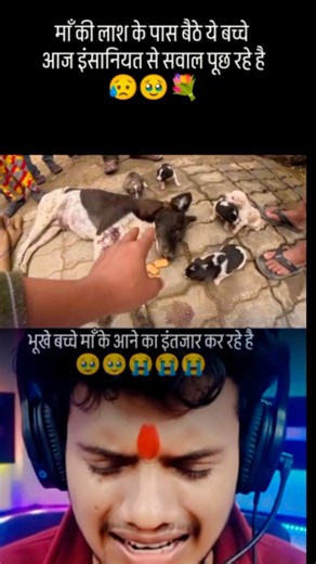 @reaction.blogger.20 on Instagram: "😭😭😭😭😭😭😢🥺#short #reels #virel #trendingreels #newreel"