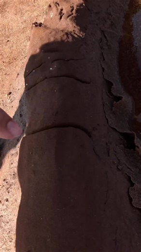 Is Salt 🧂 in the Dirt a Crystal? 🤔 In this video, we explore salt formations in the dirt. We see how these salt crystals are created, and how they might seem dirty, but are actually a natural phenomenon. #SaltCrystals #Geology #Nature #Science #CrystalFormation #Dirt #Salt #Rocks #NaturalWonders #EarthScience