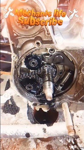 bike service Ram auto timing chain#bikelover #automobile #nonsubscribers #bikemechanic #bikeservice