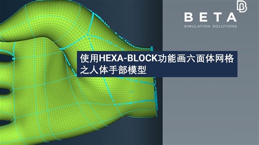【中文】使用HEXA-BLOCK功能画六面体网格-人体手部模型