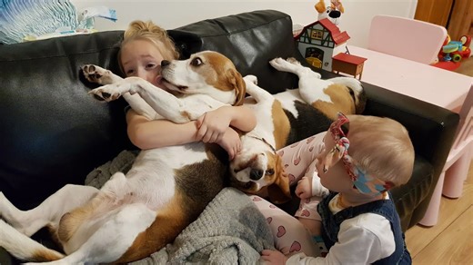 Children growing up with dogs as their best friends