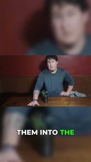 The One Thing About Stevia Seeds Everyone Gets Wrong #gardening #plantcare