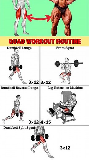 Killer Leg Workout 🔥 Build Bigger & Stronger Legs | Complete Leg Day Routine