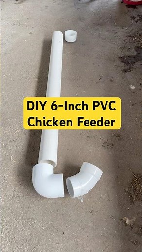 DIY 6-Inch PVC Chicken Feeder