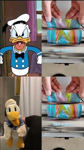 Donald Ducc VS Donald Ducc Animation #shorts