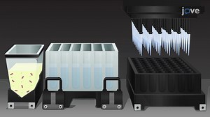 비디오: 마우스 뇌 조직에서 수초 뉴런을 시각화하기 위한 Coherent Anti-Stokes Raman 분광법 - 실험