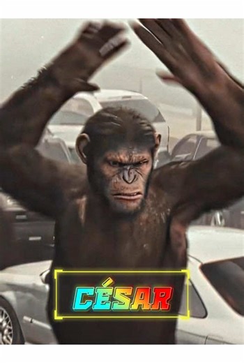 #fyp #movie Ils voulaient la liberté. Ils ont déclenché une guerre.