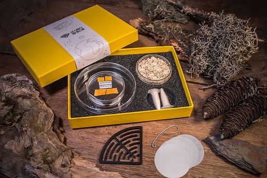 Acheter un coffret Blob, un vrai labo de poche - LE LABO DU BLOB