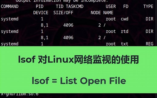 lsof 对Linux网络监视的使用