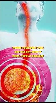 72 Hour Fasting What are the TOP 5 Benefits for Your Body?