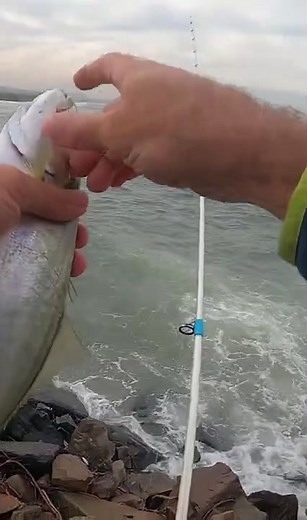 Shad Baker's Wild Adventure at Blue Lagoon in South Africa