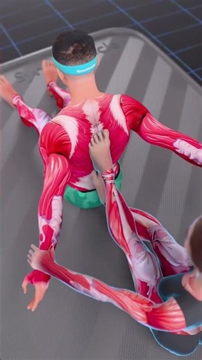 Effective Muscle Stretching Techniques You Should Do Daily