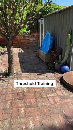 A subtle but powerful training technique that should be part of every dogs structure in the home #dogtraining