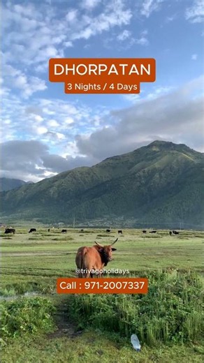 🏔️🌿 DHORPATAN TOUR PACKAGE🌿🏔️dhorpatan hr