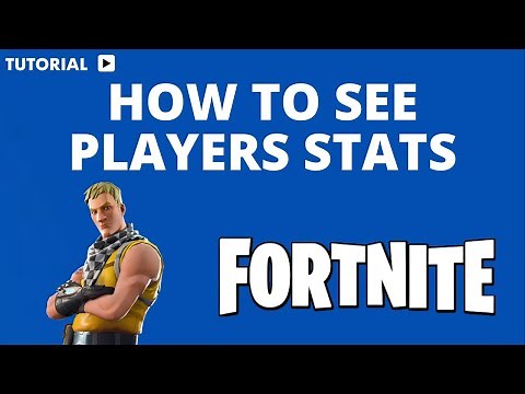 How to see Players stats on Fortnite