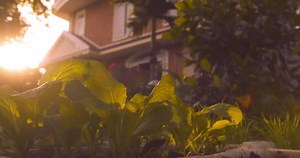 Family Home Property Insurance