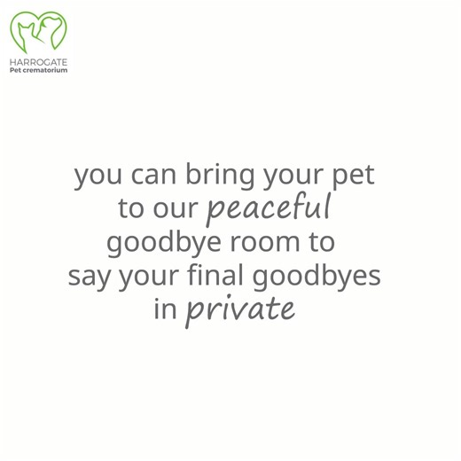 5.5K views · 5 comments | The loss of a pet can be devastating. Our...