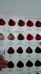 416K views · 10K reactions | Nuestro tecnico Noel te dara todos los tips para realizar baños de color o matices de color. | Kuul-Popayán Col | Facebook