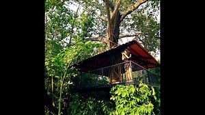 144K views · 556 reactions | Want to be as fit & fab as Shenaz Treasury? Watch this video as she reveals her fitness secret. #YOUbySkechers | Skechers Performance India | Facebook