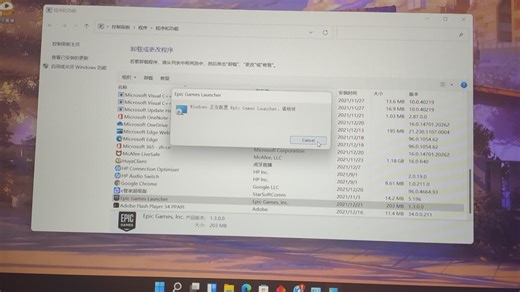 epic卸载不掉 这种情况怎么办 求B站大神讲解