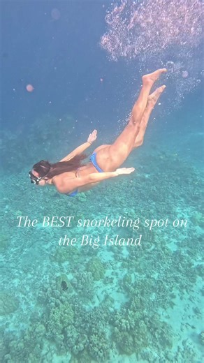 If you’re looking for a great place to snorkel on the Big Island, go to Captain Cooks Monument, we saw so many fish! #bigisland #hawaii #captaincook #snorkeling