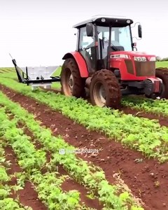 4.2K views · 34 reactions |  | New Agriculture | Facebook