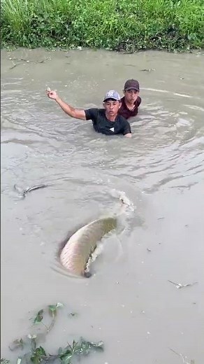 fish net making video #fishing #fish #net #fishingnets