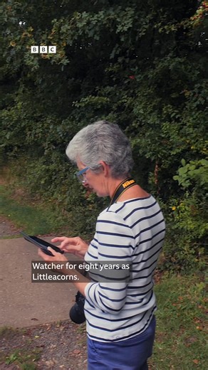 Each evening, BBC Midlands Today weather presenter Shefali Oza showcases images from BBC Weather Watchers, which is 10 years old next month. To mark the anniversary, the BBC is meeting regular Weather Watchers, including Josie Weller, from Bascote. | BBC Coventry & Warwickshire