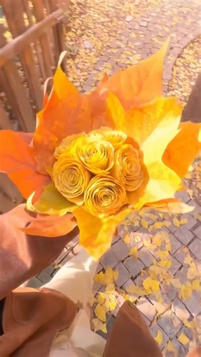 秋天银杏玫瑰风景视频素材 拿了留痕 #like #氛围 #snow #阳光沙滩海浪 #love #relax #beautiful #nature #sunset #scenery